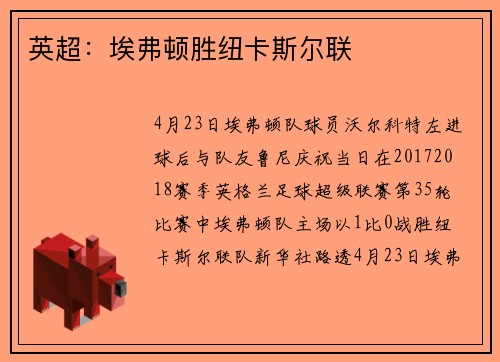 英超：埃弗顿胜纽卡斯尔联
